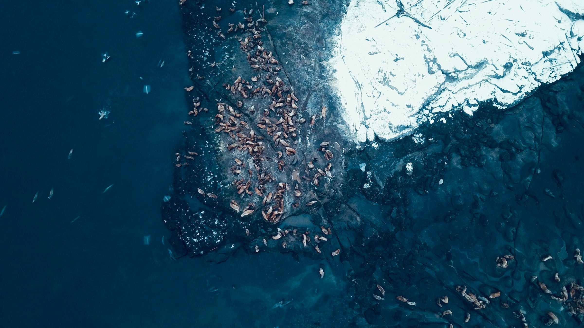 FORDS COVE MARINA & RESTURANT