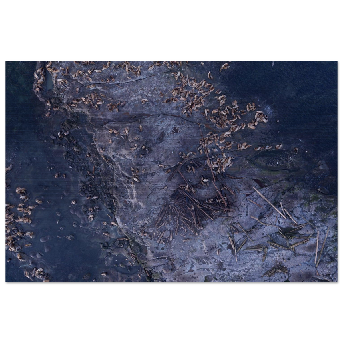 04a84f99-2358-4007-8001-7fda2637f247