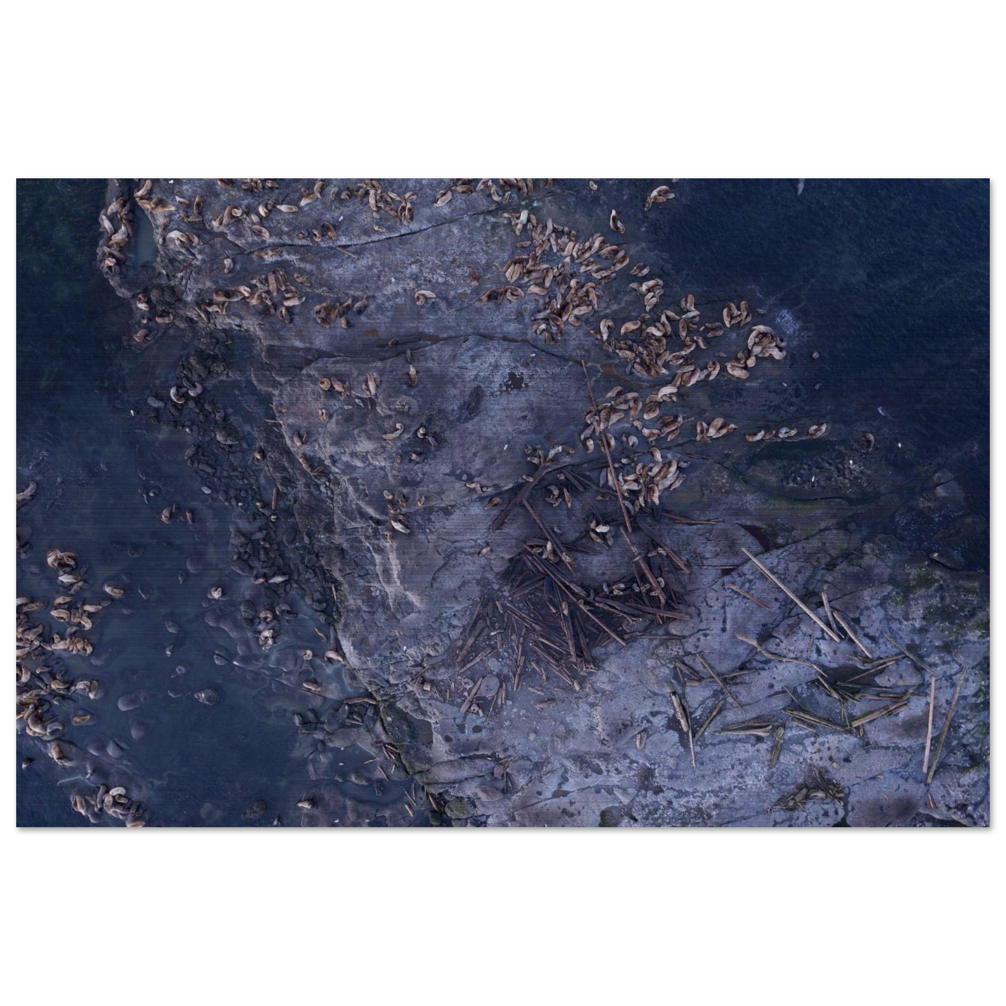 04a84f99-2358-4007-8001-7fda2637f247