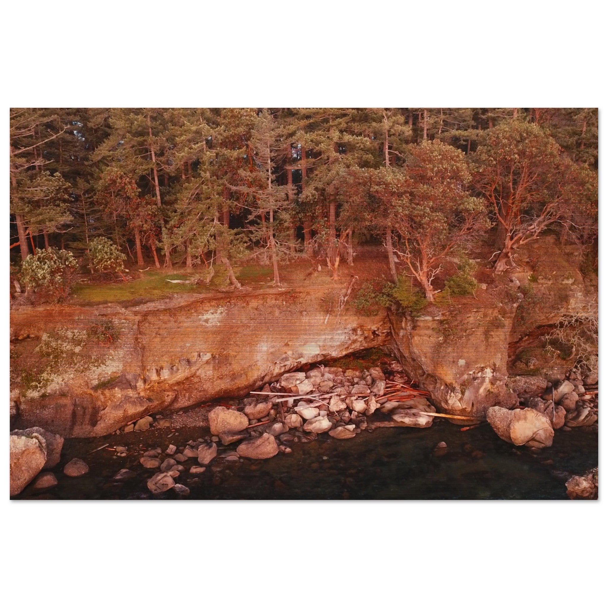 c613cf91-d7ca-4a34-8322-c6afcdb13b1a