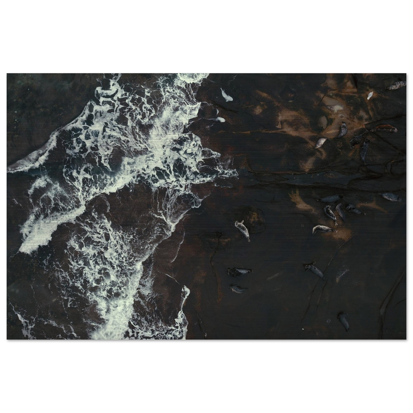 05a269b3-c063-419b-8600-ff9699d9b811