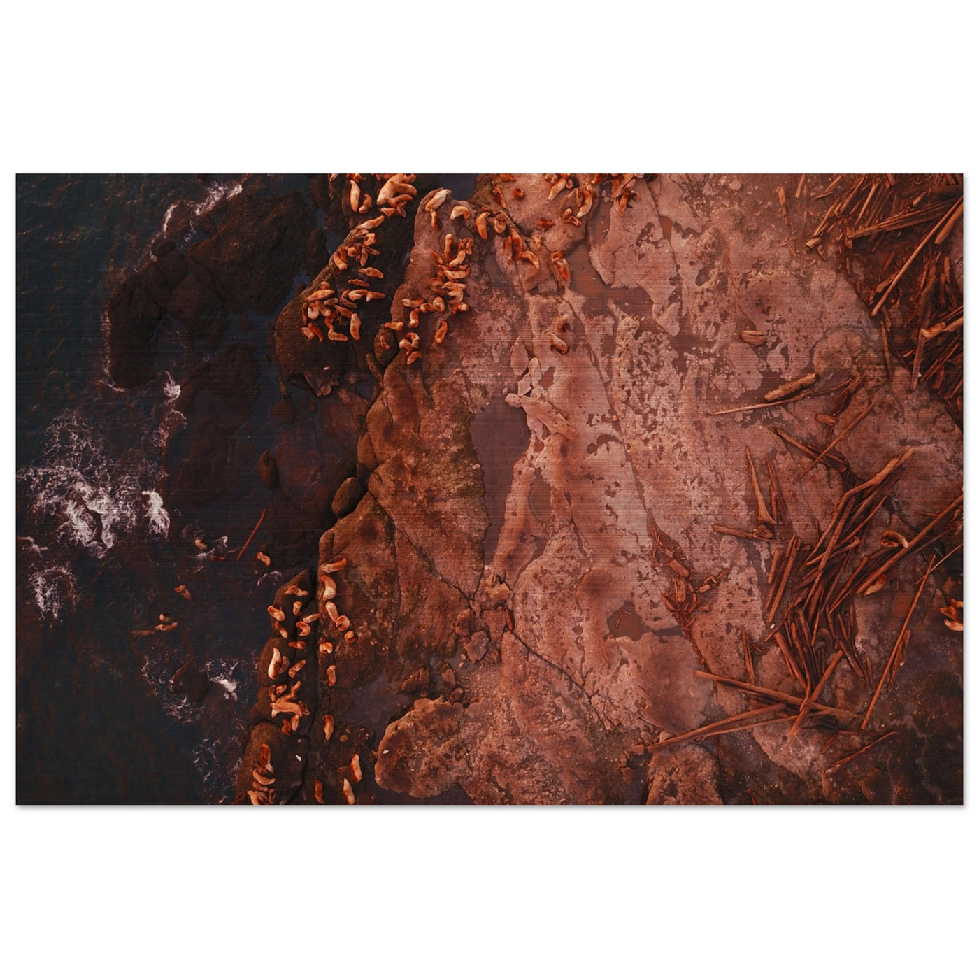 0a4dedef-833b-486f-b022-2ed061e06063