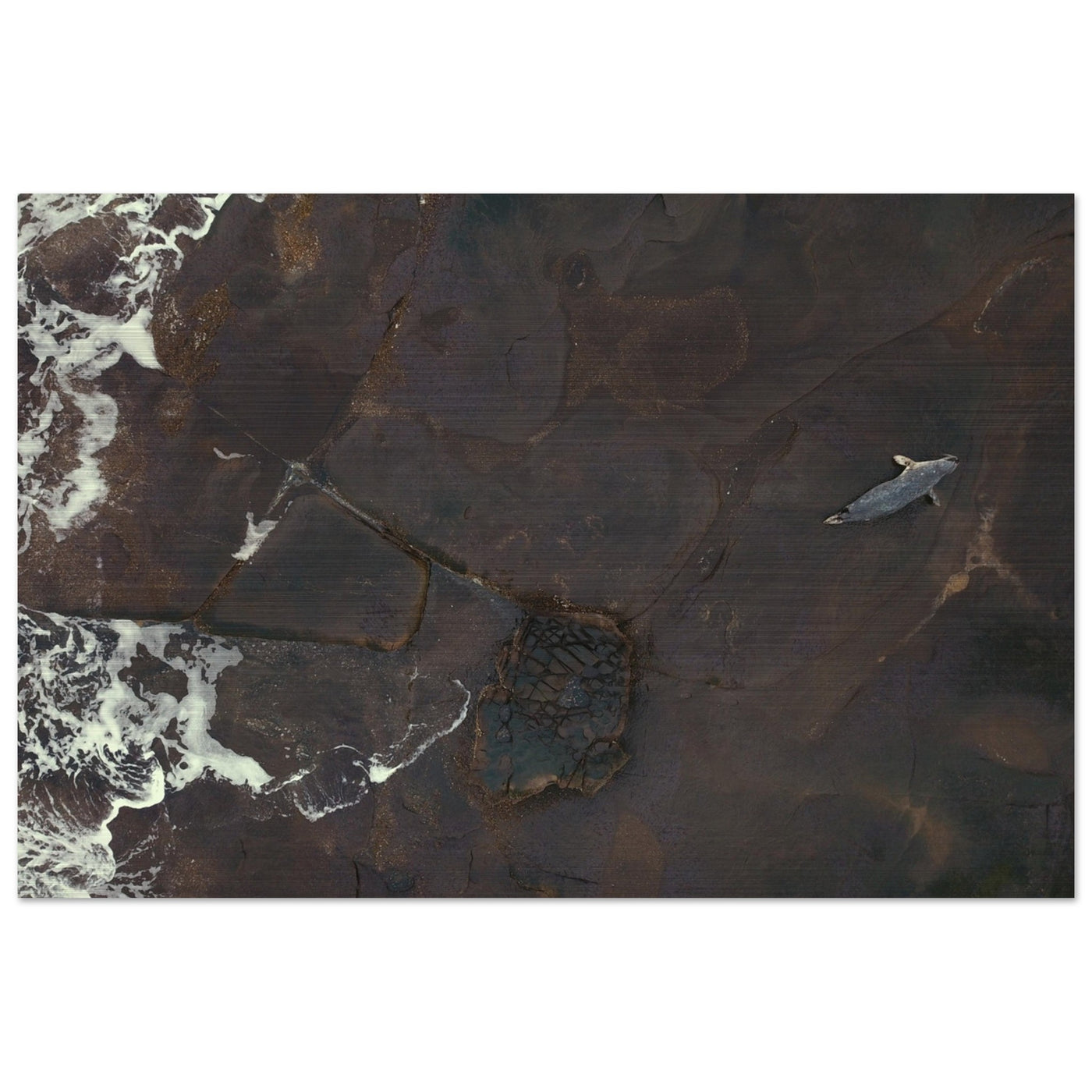 10c517a4-3d12-41a3-b8c0-3a84a670e0ed