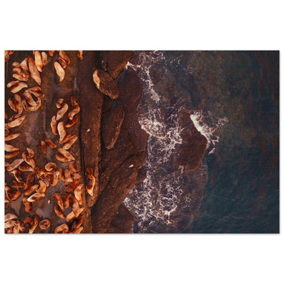 199d00d2-7a95-4d80-a031-e5559ef24294