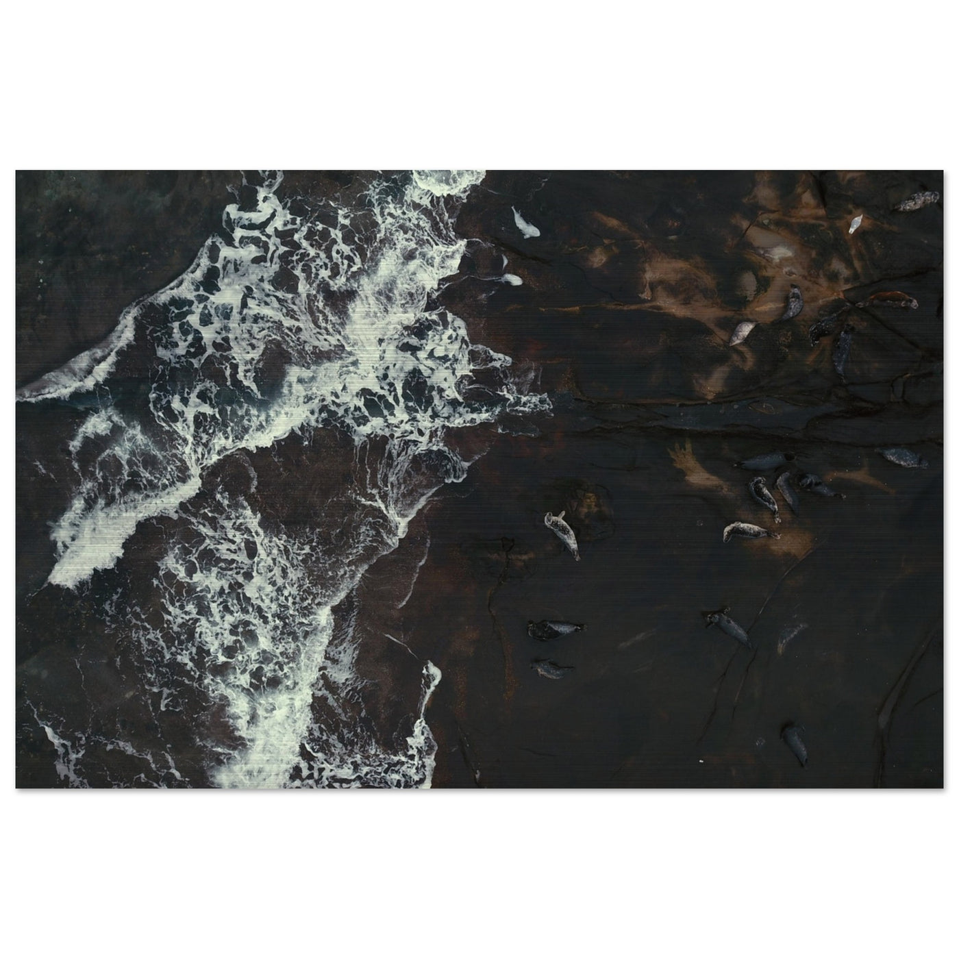 2b0a864a-7f95-4bd0-9b47-1b0b48c647d6