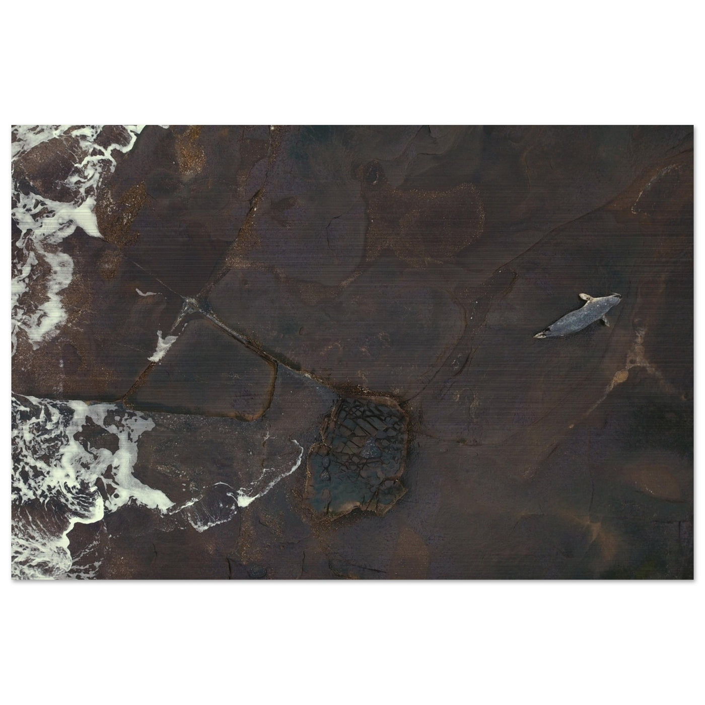 2d957412-3bce-45c1-a877-5934b10a33da