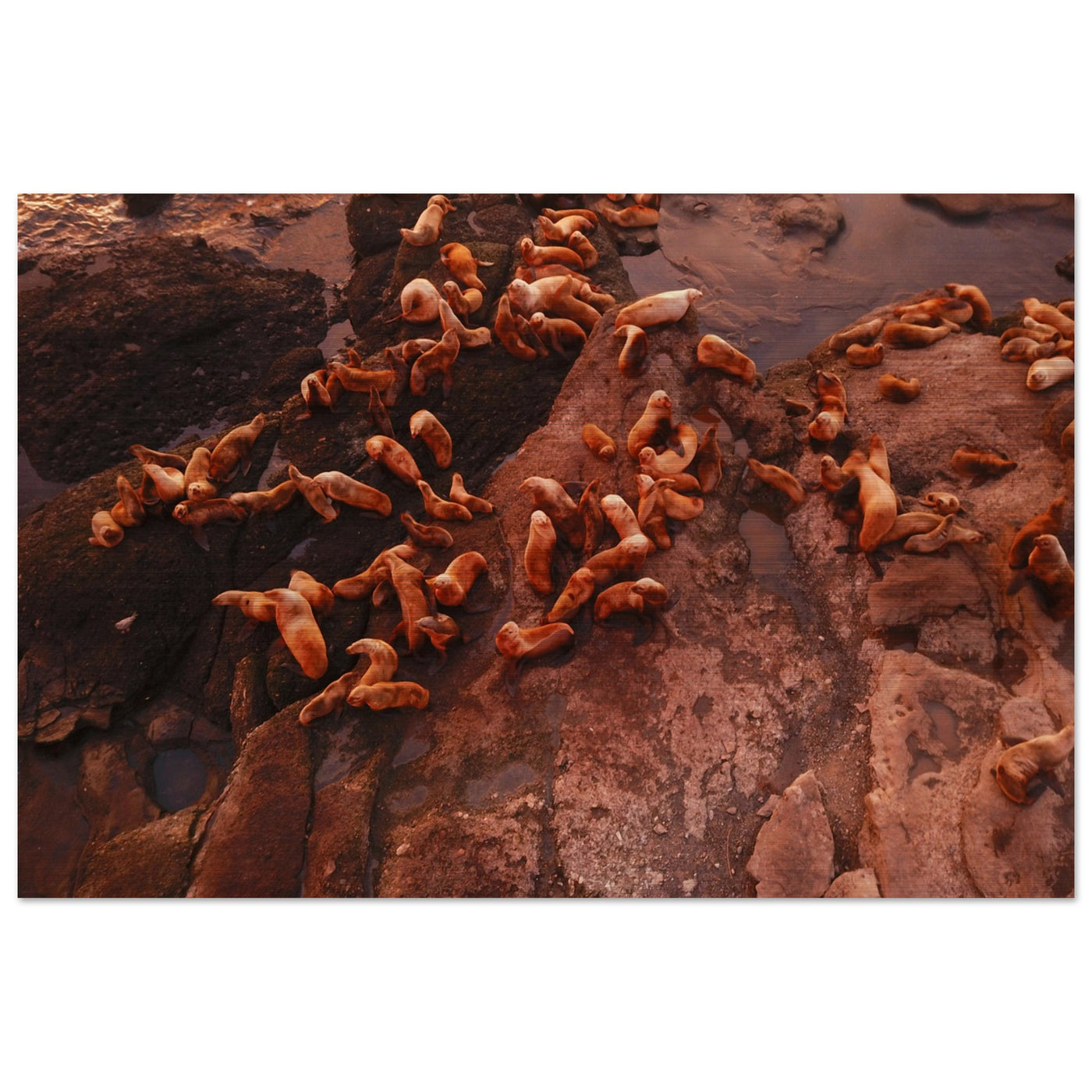 3a3ec330-f0de-4d36-bd5e-d64e63809098