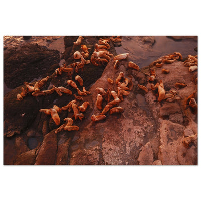 3a3ec330-f0de-4d36-bd5e-d64e63809098