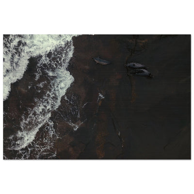 471aac11-c72e-4de2-a779-36d2cf4711d1