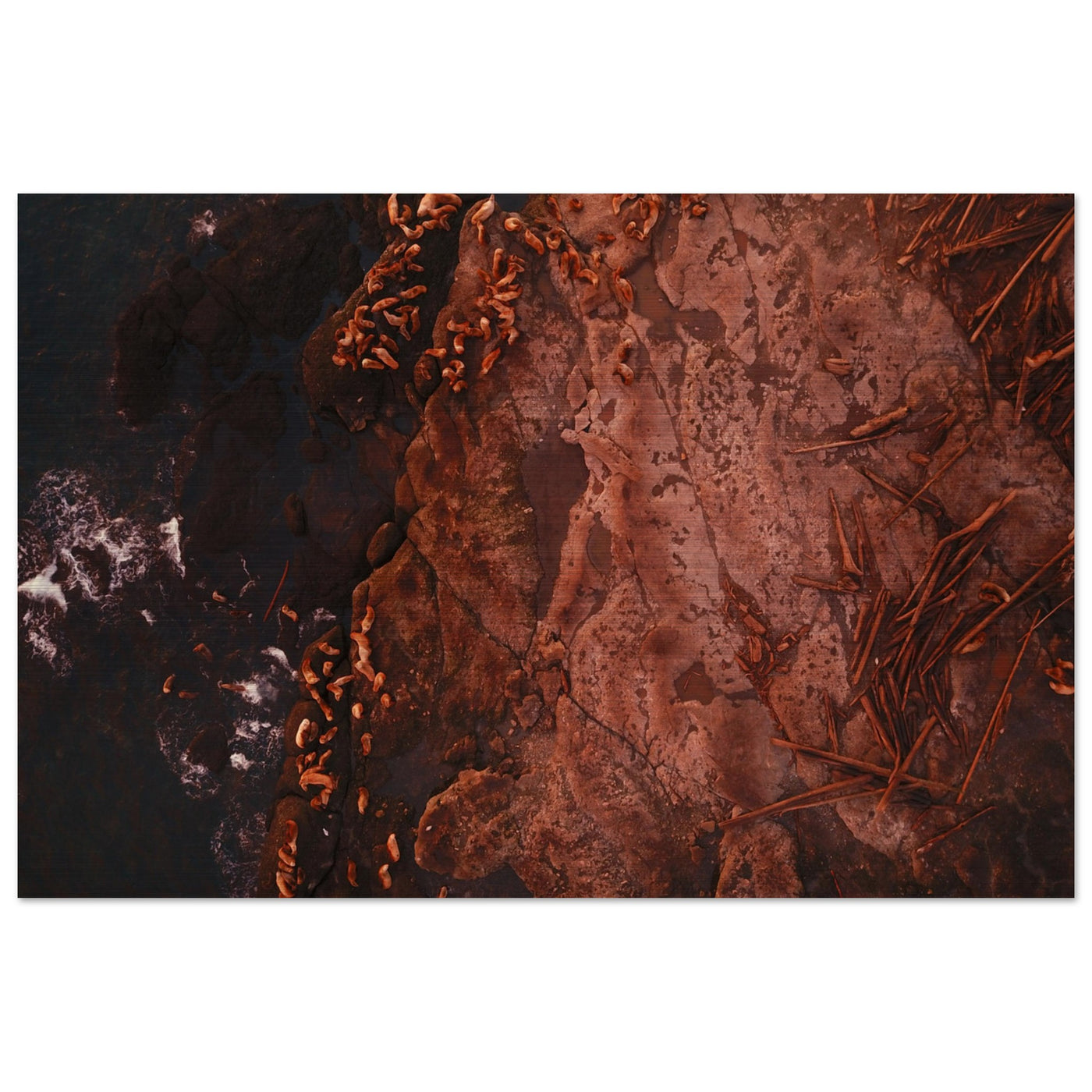 7513717a-be4a-461d-bb69-bc81acd9b151