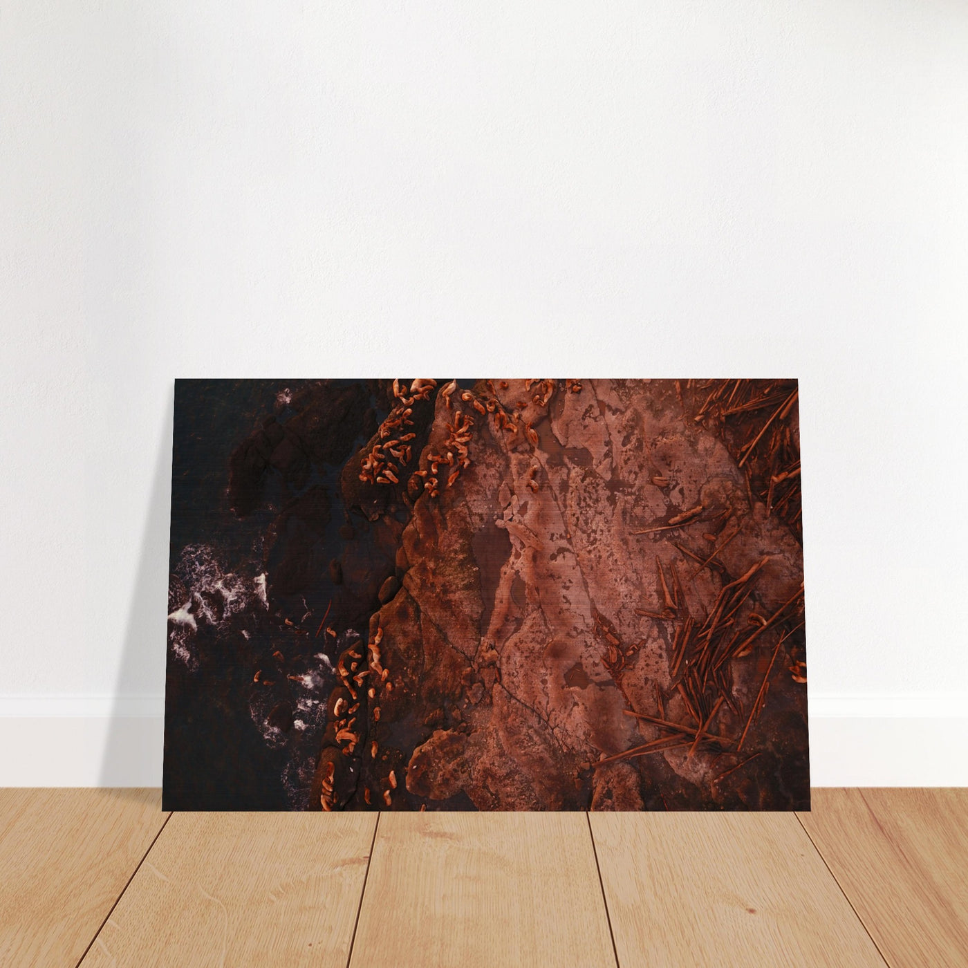 9e23f847-7cc4-486d-867b-d4d5b6494578