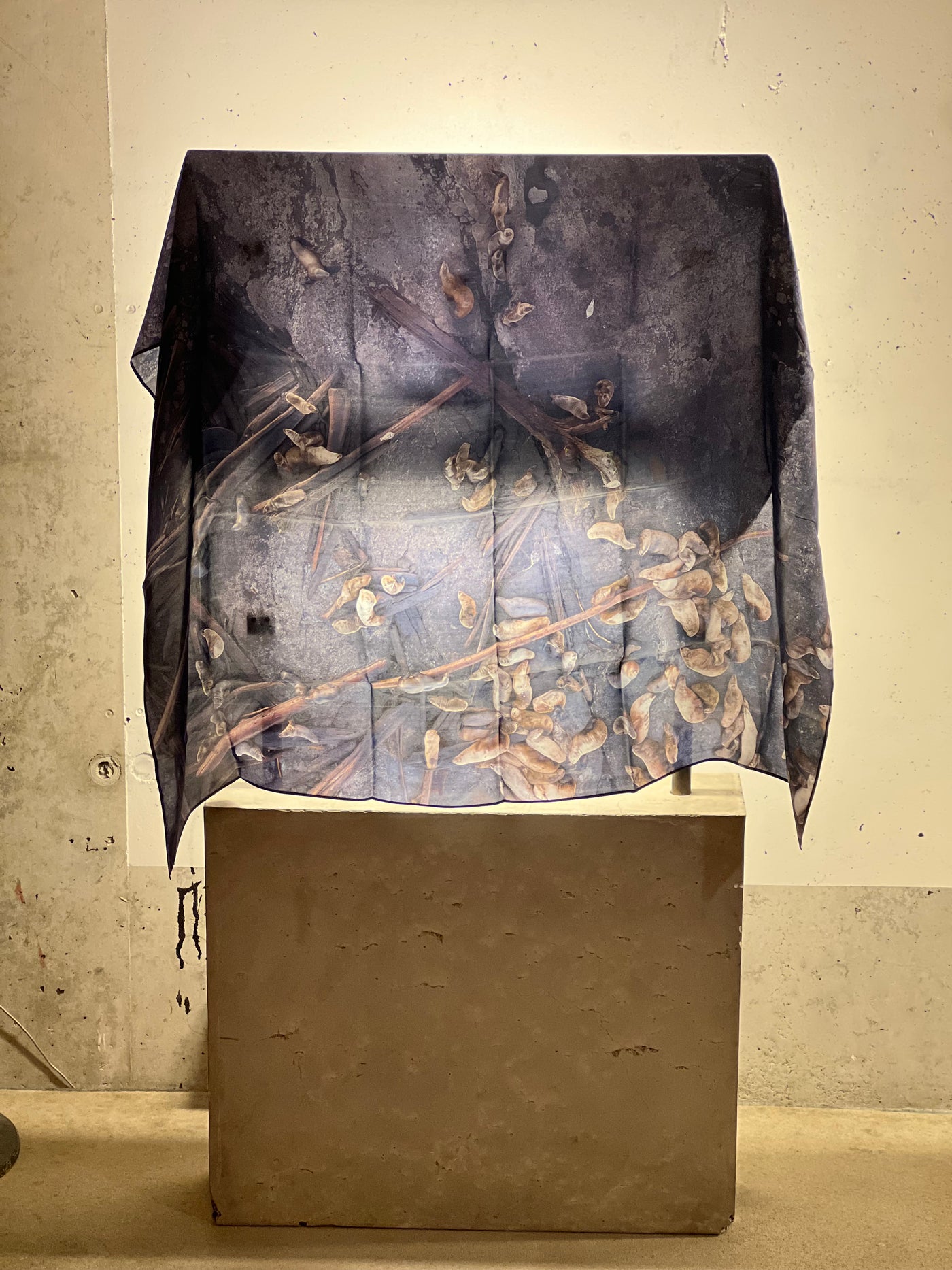 Seals Vs Seals  - Silk Scarf.