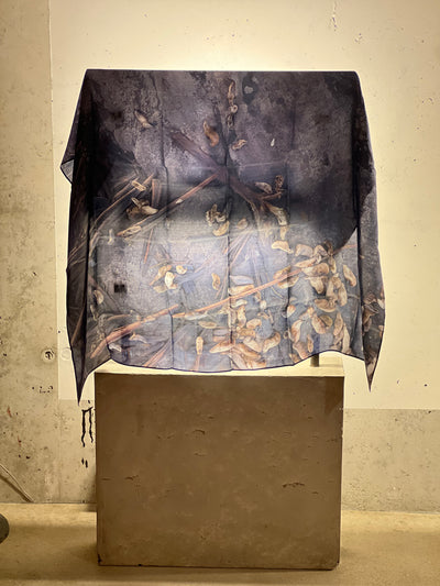 Seals Vs Seals  - Silk Scarf.