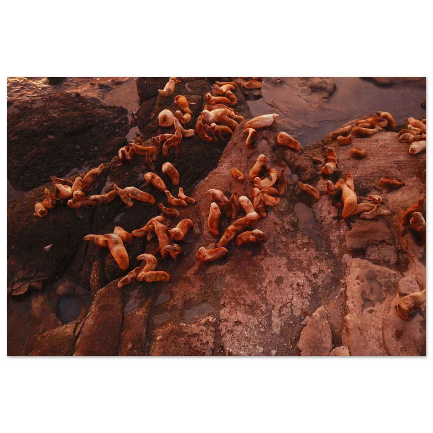 a082b5b6-1bb7-42b9-970b-cfd82b7f5766