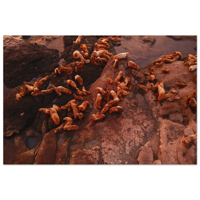 a082b5b6-1bb7-42b9-970b-cfd82b7f5766