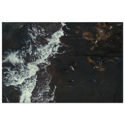 a7f280cc-b0b1-4bab-9a68-fc6c1b6e84dd