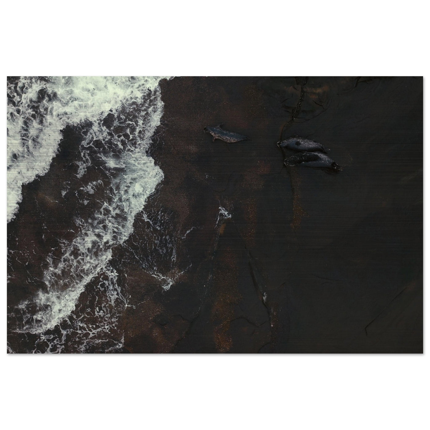 d2e867f8-8ccc-44c5-beca-32f7b45b153a