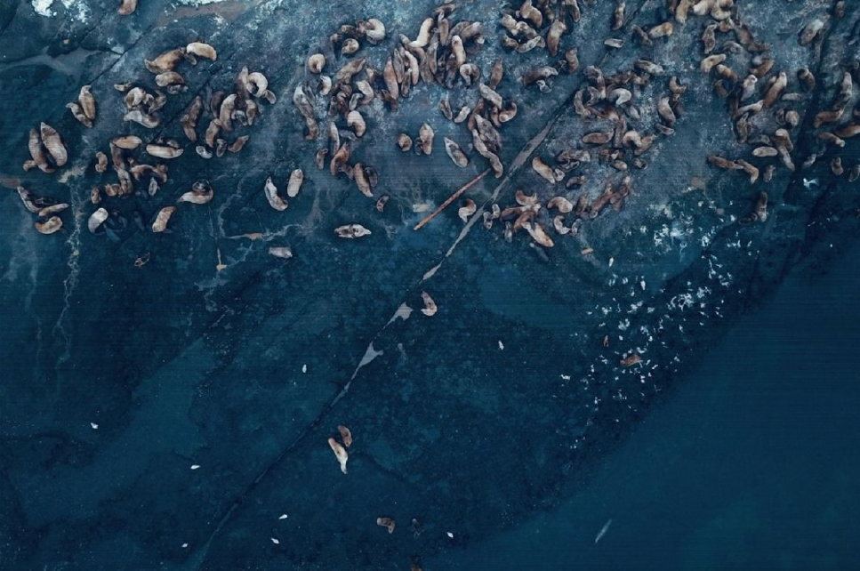 Just Off Heron Rocks