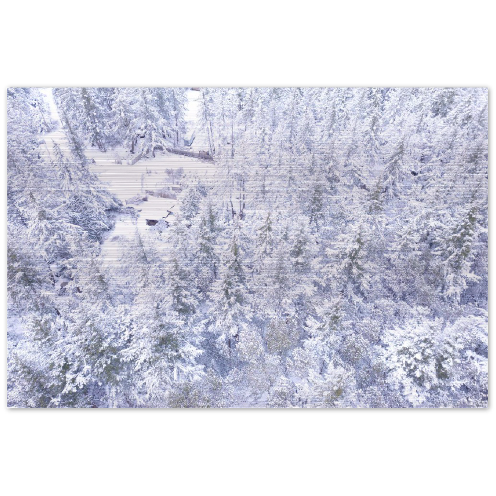 White Hornby Island