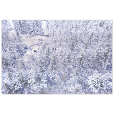 White Hornby Island