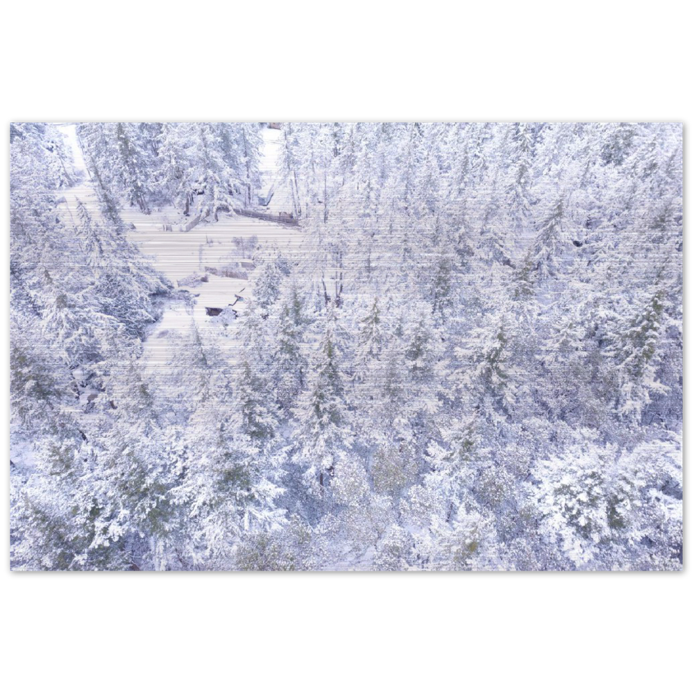 White Hornby Island